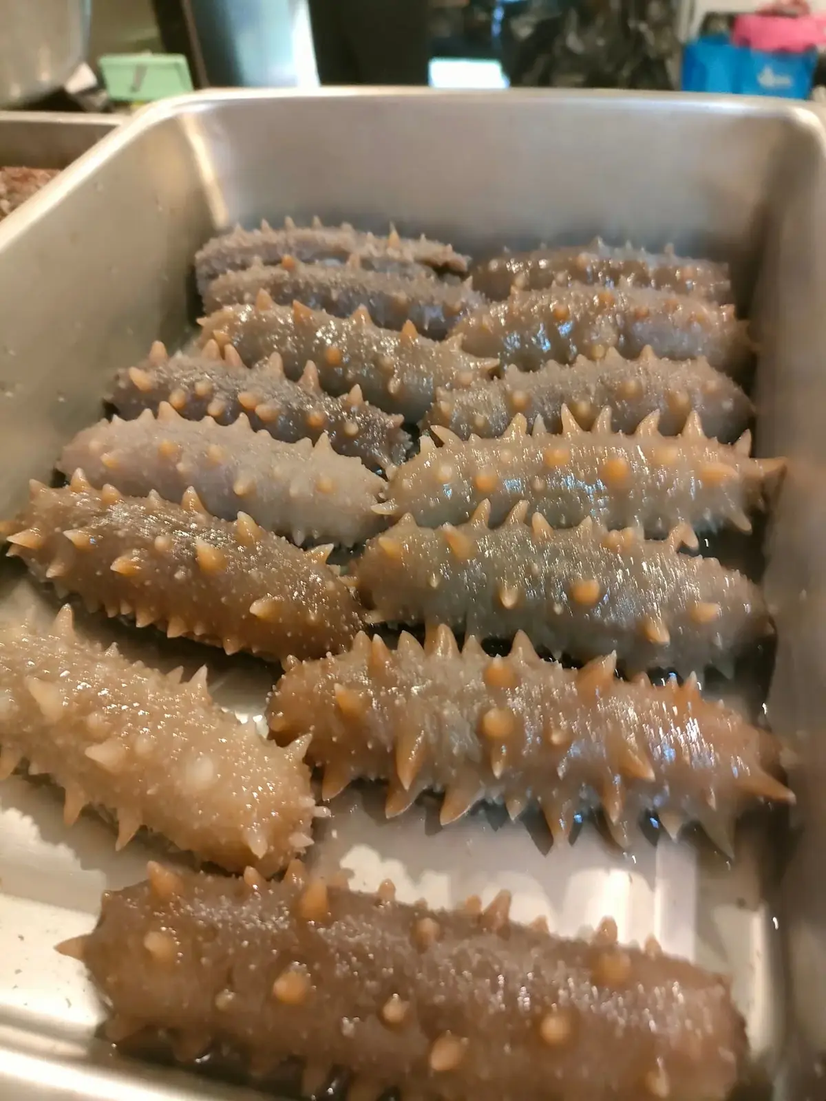 中式嚴選食材刺參