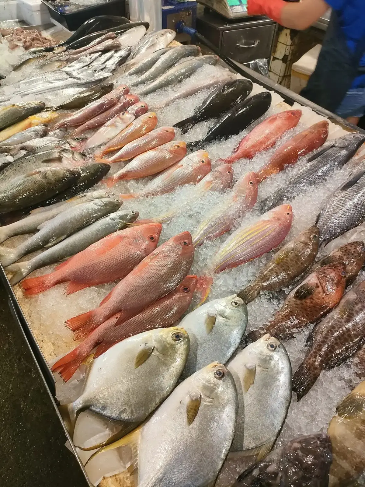 每日海鮮漁獲