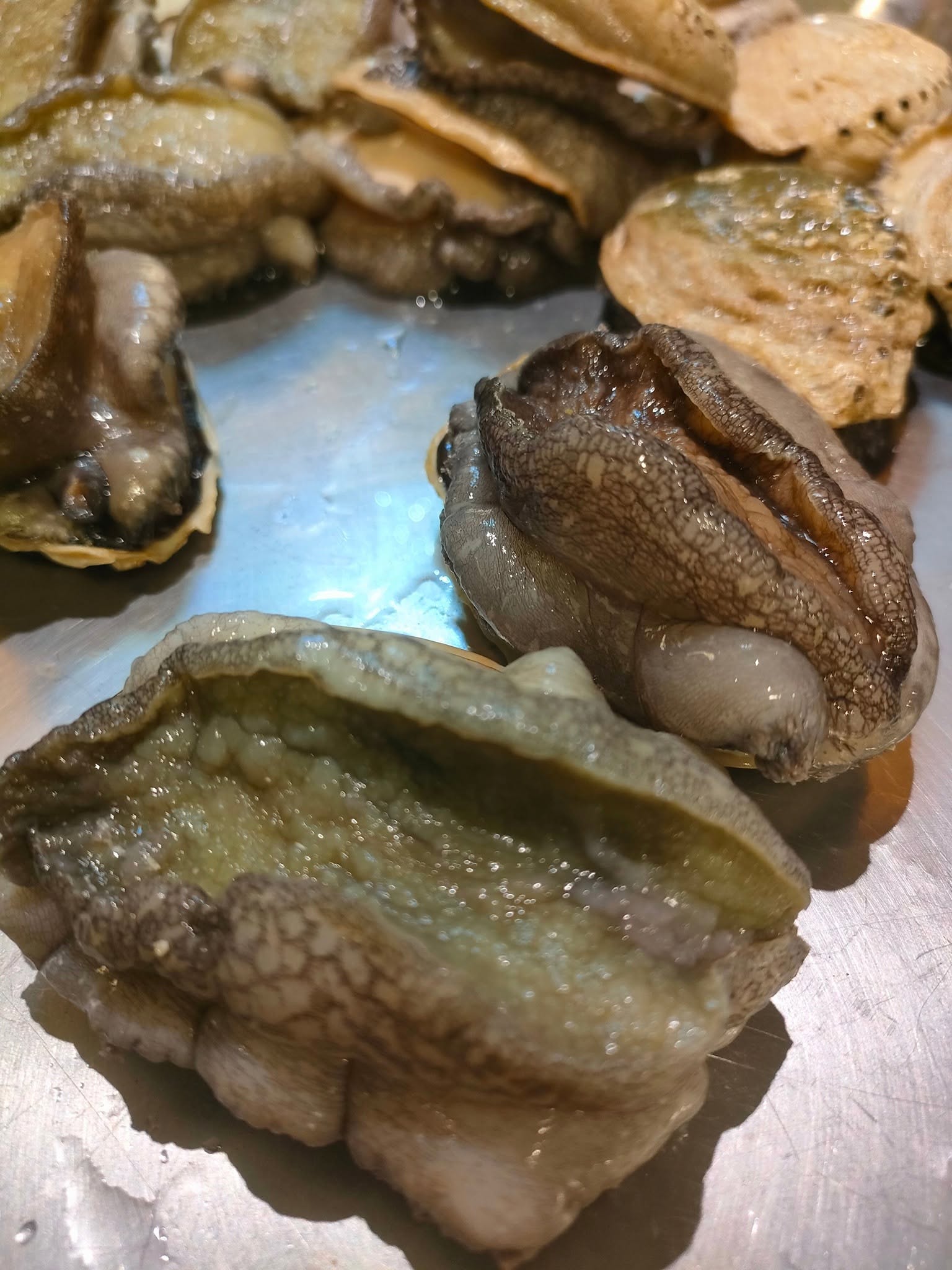 嚴選食材生猛活鮑魚