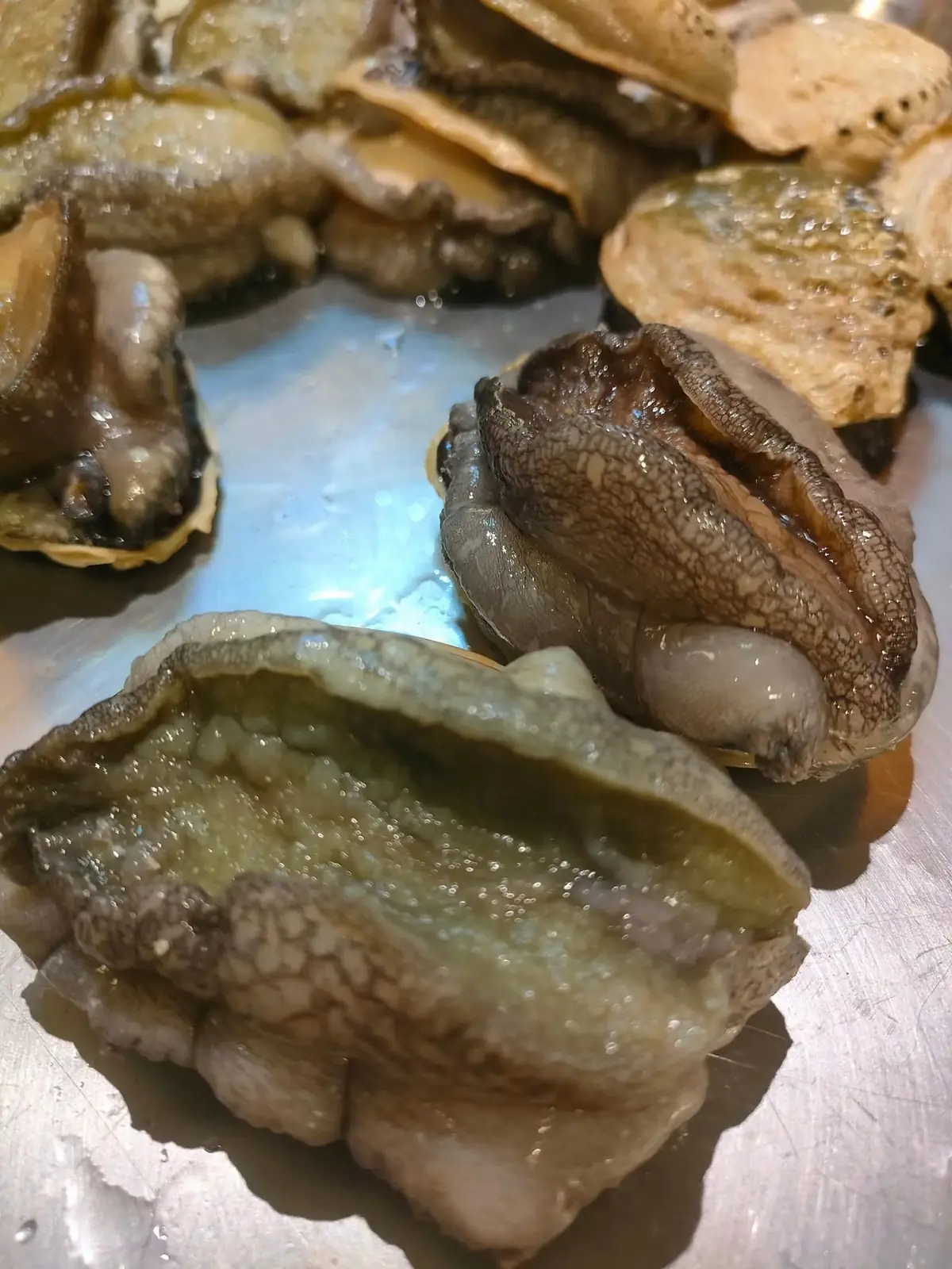 嚴選食材生猛活鮑魚